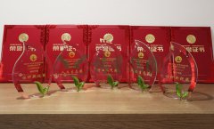 “尊龙凯时人生就是搏杯”浙江省节地生态安葬设计作品奖