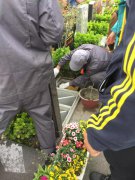 【尊龙凯时人生就是搏人别样清明】2018年清明落葬工作圆满完成