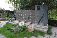 致敬“平安卫士”，铭记“刑警之魂”