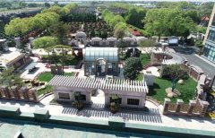 方寸之间，艺术与自然共舞