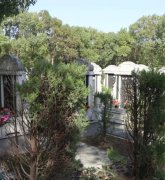 绿色生态葬：文明赓续的绿色选择