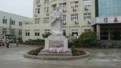 石雕匠心，镌刻医者风华