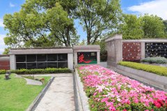 归于自然，泽被后世：解读现代生态葬及其创新趋势