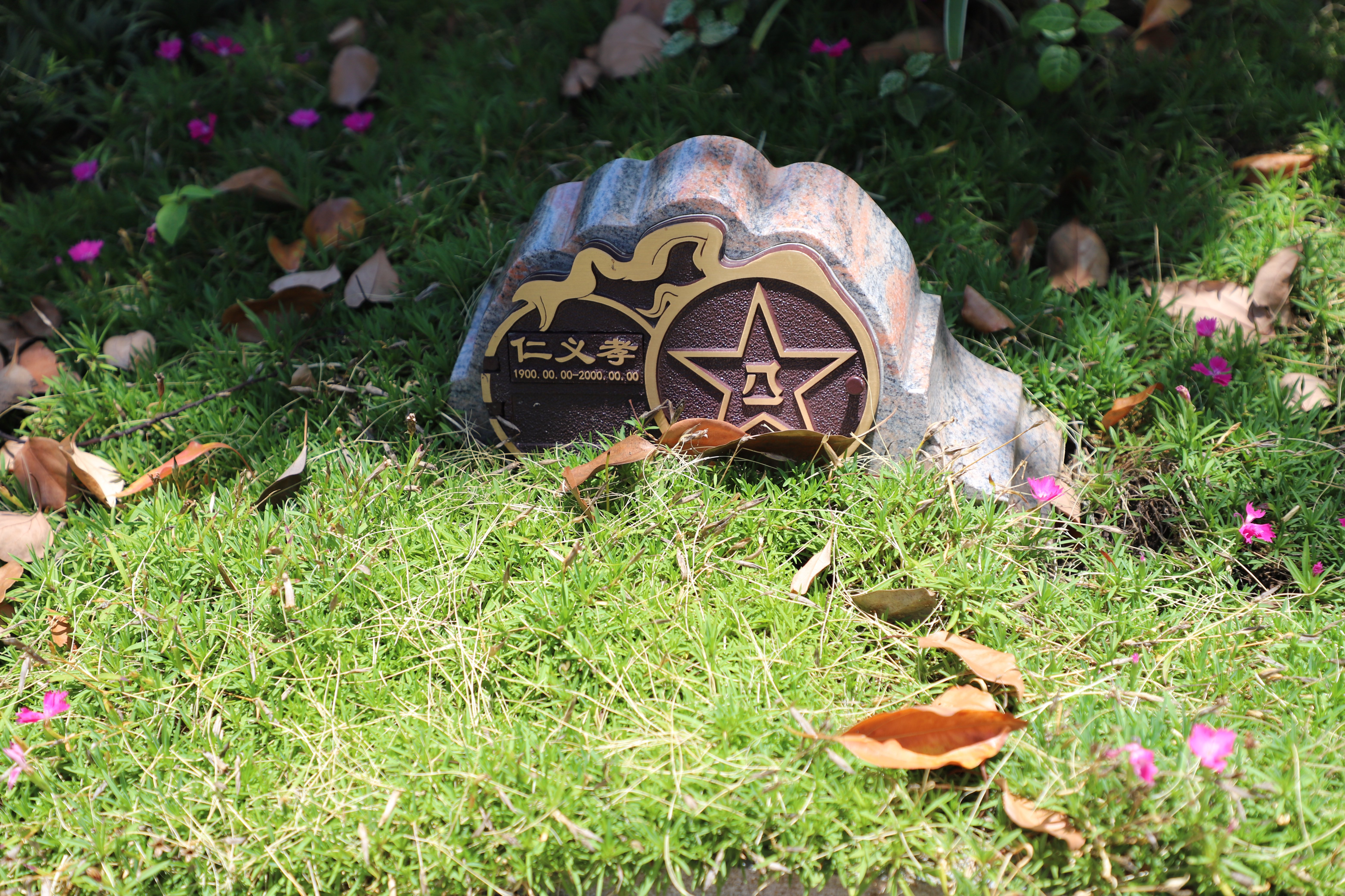 尘归尘，土归土：当生命终与自然相融